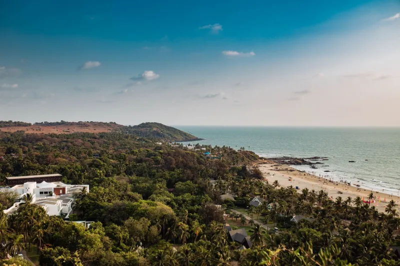 From Chaos to Class: How Goa's Service Scene Grew Up and Why American Visitors Are Taking Notice