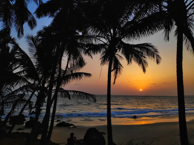 The Professional's Passport: What Really Draws High-Achieving Americans to Goa's Premier Adult Scene